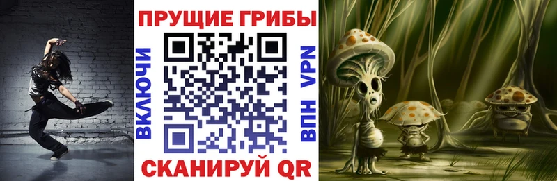 Галлюциногенные грибы мицелий  Дятьково 